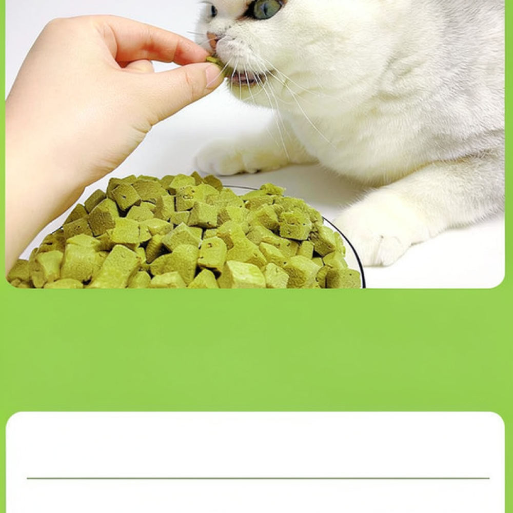 Bocadillos de hierba para gato - Healthy Snacks Food reseña y precio
