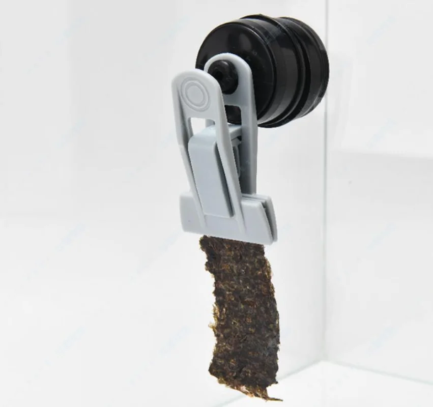 Clip de alimentación Veggie-Ma - Seaweed Snack reseña y precio